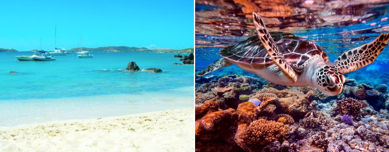 Boats moored off a white-sand beach on the east end of St. Thomas, and a sea turtle over the reef