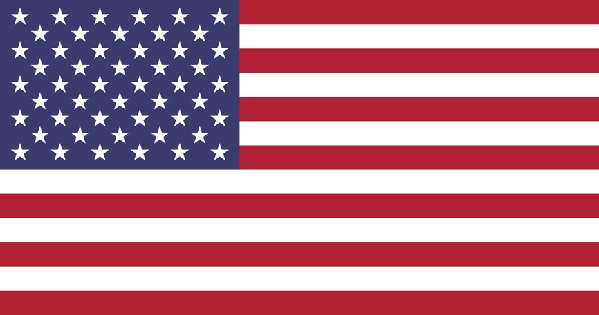 The US Virgin Islands flag